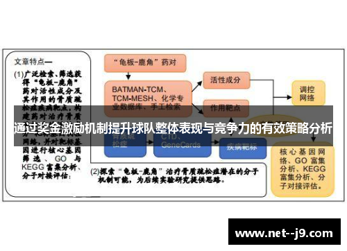通过奖金激励机制提升球队整体表现与竞争力的有效策略分析