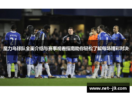魔力鸟球队全面介绍与赛事观看指南助你轻松了解每场精彩对决